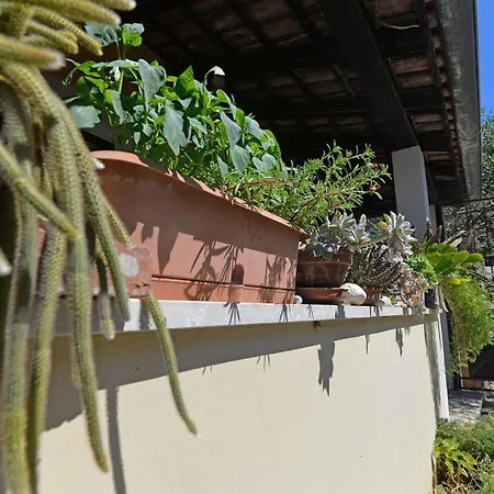 Apartment Nina